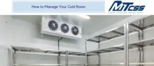 Cold Room Shelving | MTCSS