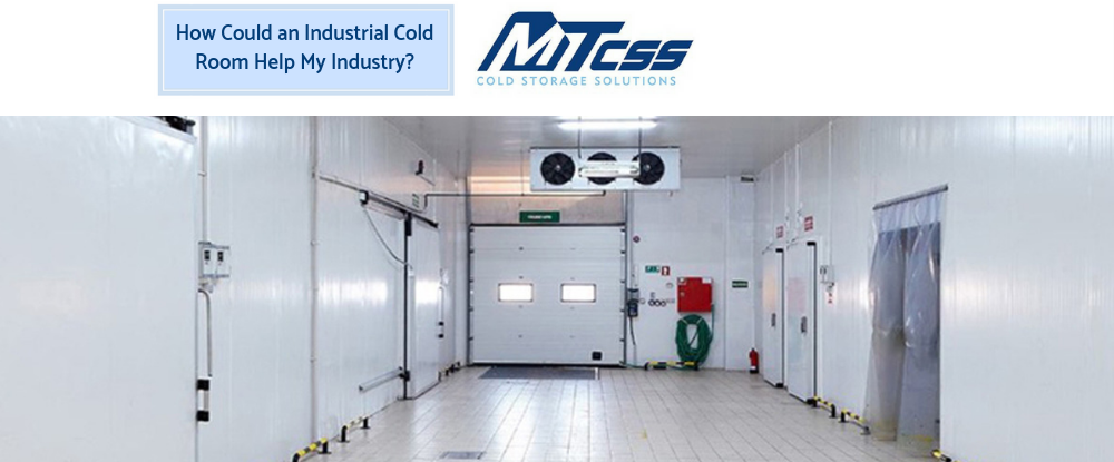 Can An Industrial Cold Room Help My Industry? | MTCSS