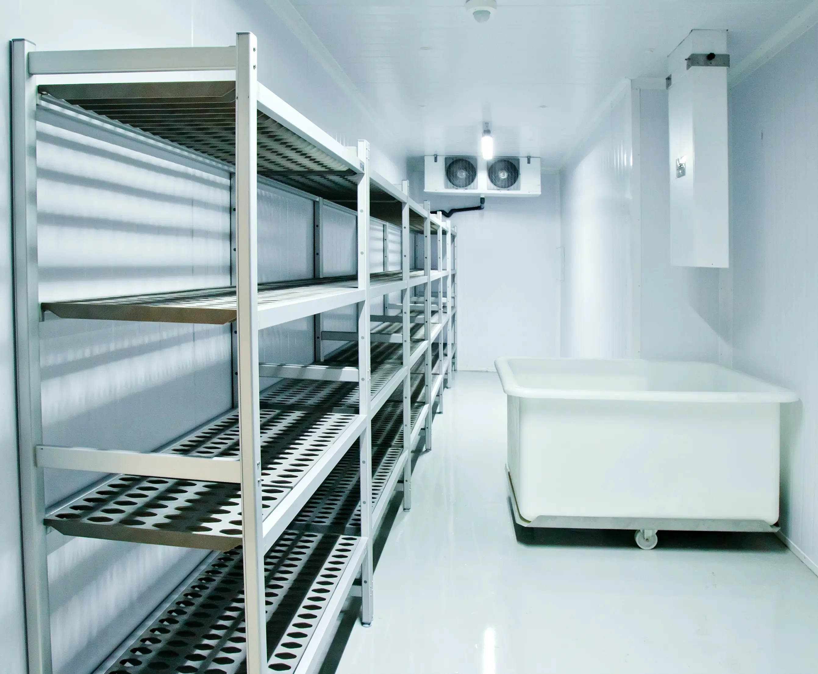 Industrial Cold Room | MTCSS