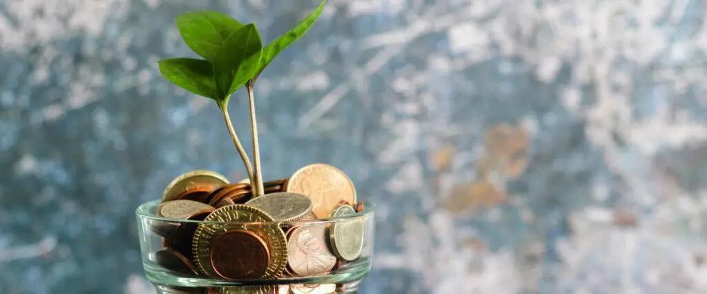 Cold Room Installation Costs | MTCSS