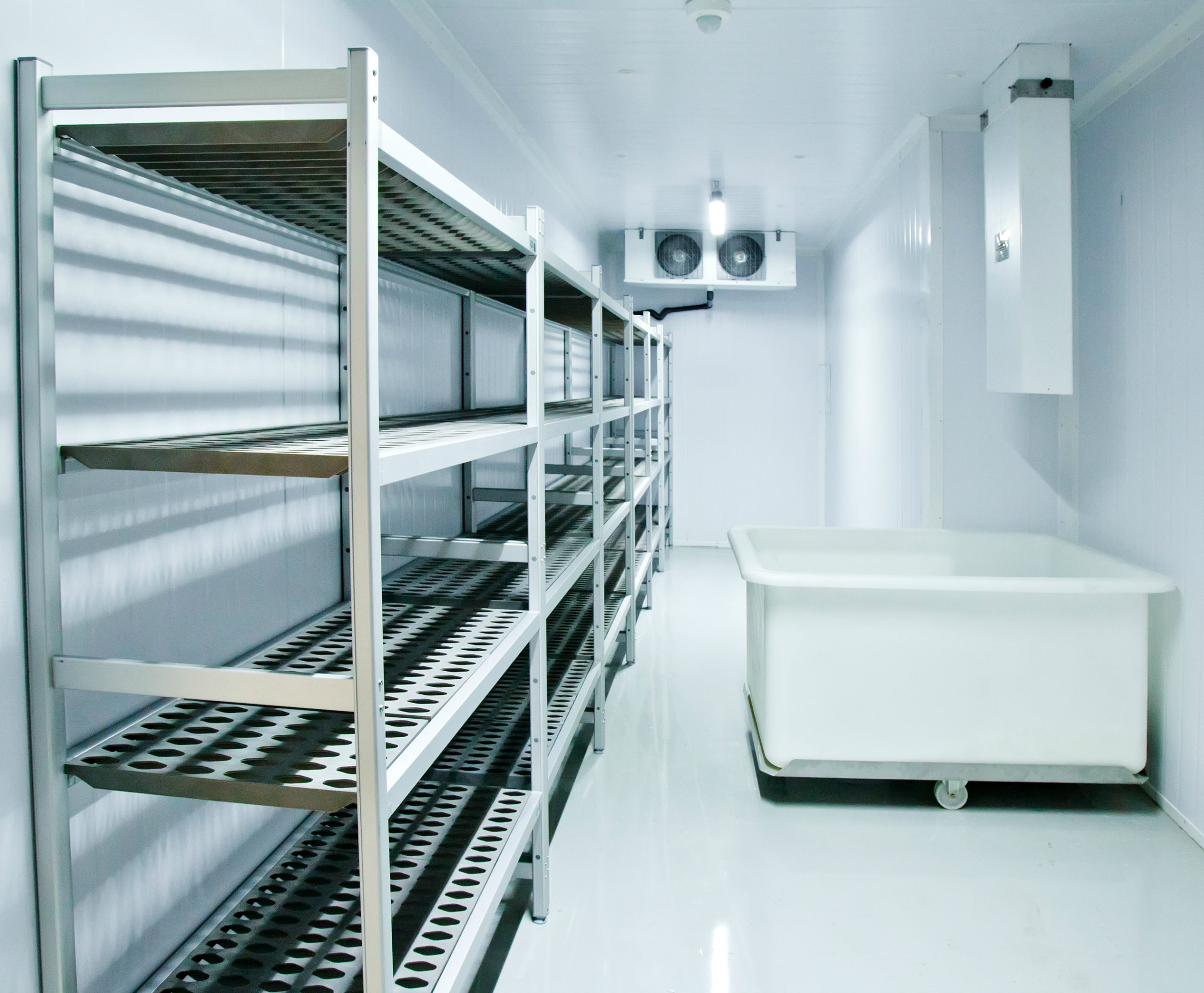 Cold Rooms for the Food Industry 