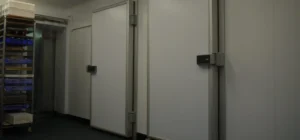 Dual compartment cold room