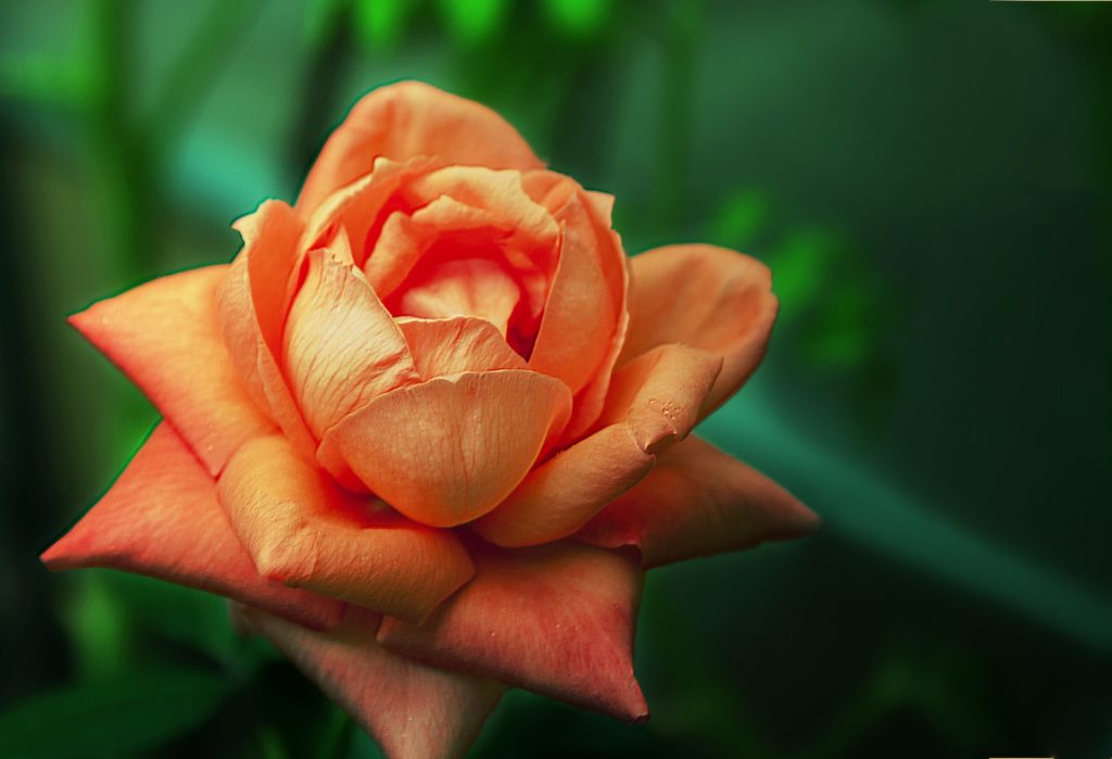 How To Choose A Cold Storage Solution For Your Horticultural Business