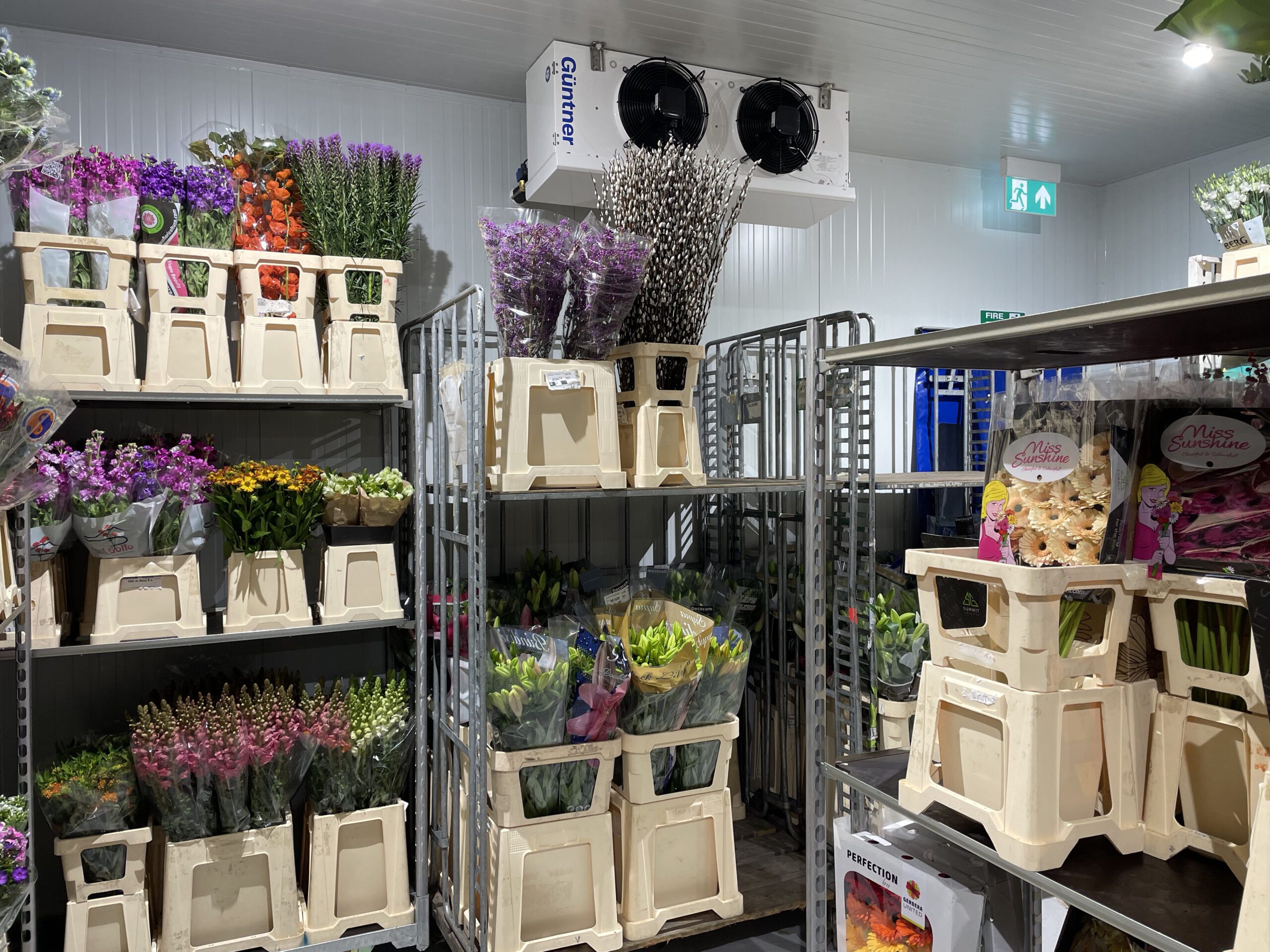 3 Benefits To Temperature Controlled Rooms For Flower Storage | MTCSS