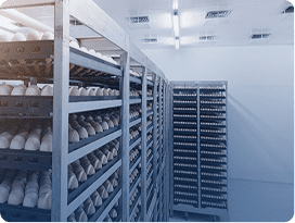 Chiller cold rooms